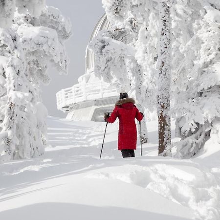 Chalets Du Domaine - De Luxe Notre-Dame-Des-Bois Luaran gambar