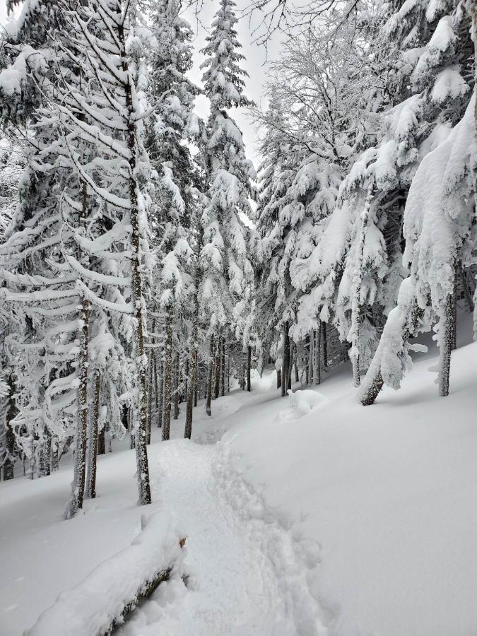 Chalets Du Domaine - De Luxe Notre-Dame-Des-Bois Luaran gambar